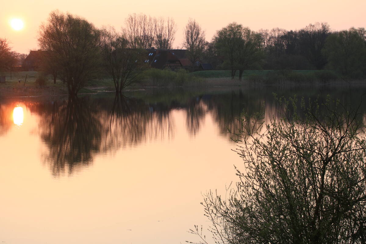 Dawn on Lake Gartow